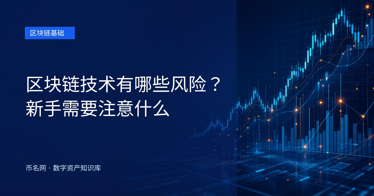 区块链技术有哪些风险？新手需要注意什么