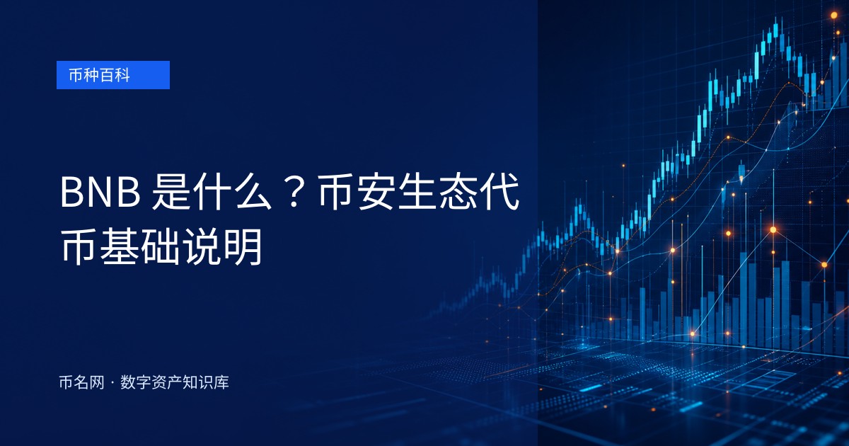 BNB 是什么？币安生态代币基础说明